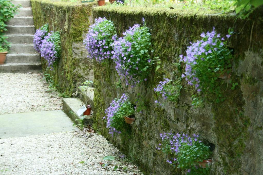 Bed and Breakfast L'Affable Les Cammazes Exterior foto